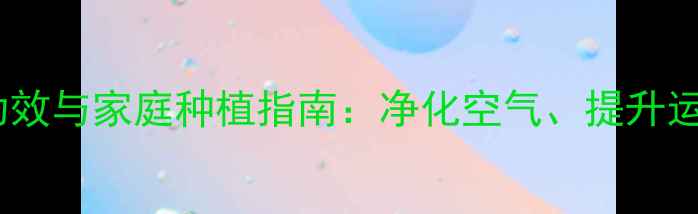 图片 蝴蝶兰的养生功效与家庭种植指南：净化空气、提升运势的天然绿植1