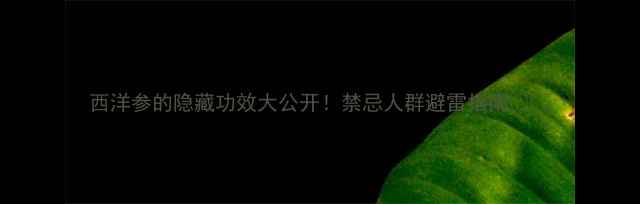 图片 西洋参的隐藏功效大公开！禁忌人群避雷指南🌿💊