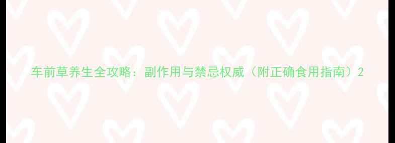 车前草养生全攻略副作用与禁忌权威附正确食用指南