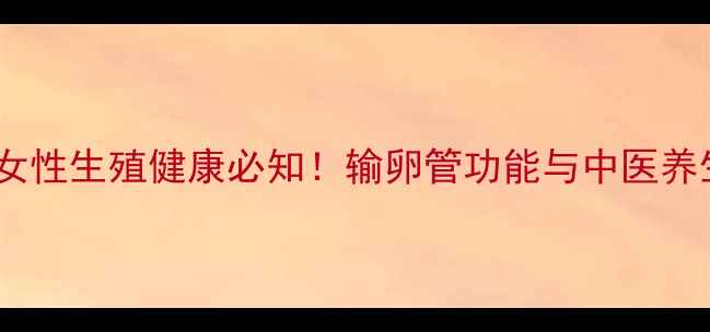 输卵管堵塞调理方法女性生殖健康必知输卵管功能与中医养生指南附疏通食谱