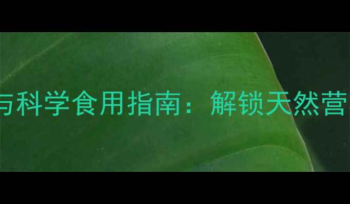 图片 辣木籽养生功效与科学食用指南：解锁天然营养的5大健康食谱