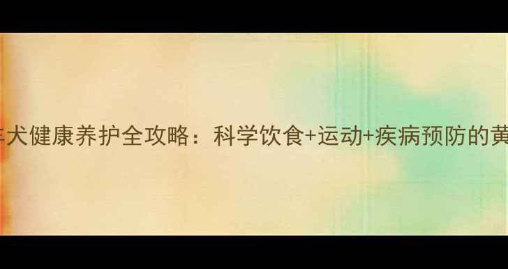 边境牧羊犬健康养护全攻略科学饮食运动疾病预防的黄金法则