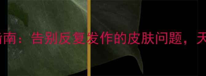 图片 达克宁软膏正确使用指南：告别反复发作的皮肤问题，天然护理的5大黄金法则