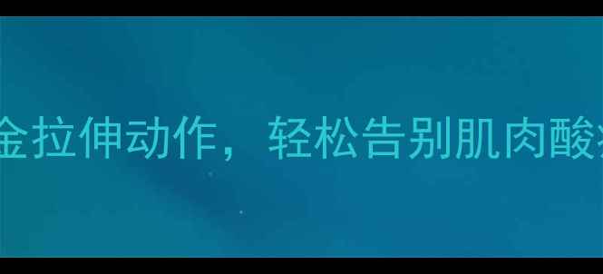运动后必看5个黄金拉伸动作轻松告别肌肉酸痛提升运动效果