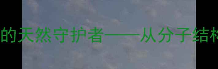 图片 透明质酸：皮肤抗衰的天然守护者——从分子结构到美容功效的深度2