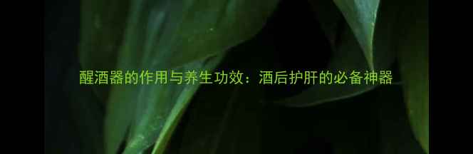 醒酒器的作用与养生功效酒后护肝的必备神器