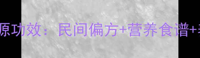 图片 野生刺猬药食同源功效：民间偏方+营养食谱+养生禁忌全指南1