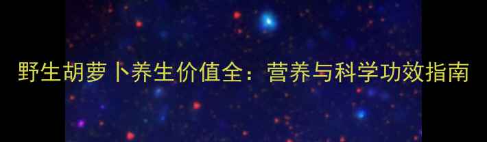 图片 野生胡萝卜养生价值全：营养与科学功效指南