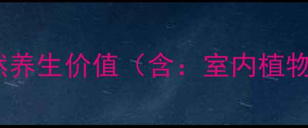 图片 量天尺的天然养生价值（含：室内植物养生功效）2