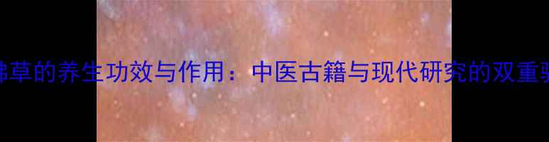 图片 金沸草的养生功效与作用：中医古籍与现代研究的双重验证