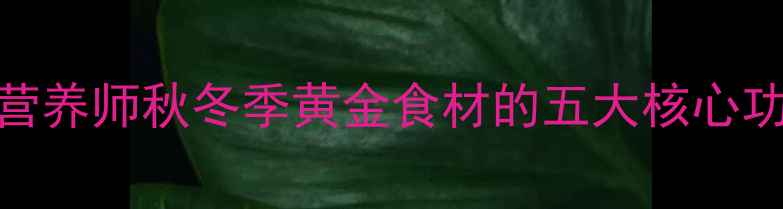 金瓜养生全攻略营养师秋冬季黄金食材的五大核心功效与科学食用指南
