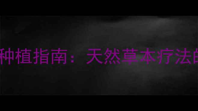金线莲养生功效与家庭种植指南天然草本疗法的扦插技巧与养生应用