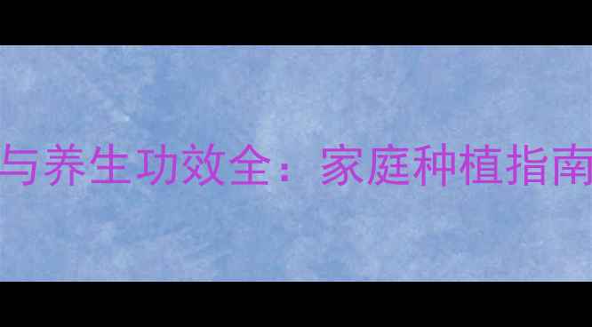 金花茶种植与养生功效全家庭种植指南及健康应用
