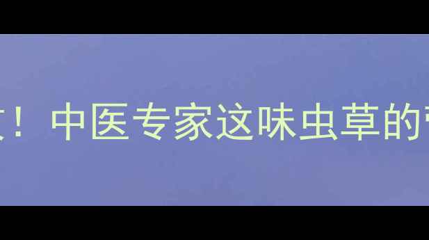 金蝉蛹的5大养生功效中医专家这味虫草的营养价值与食疗秘方