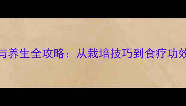 金针菇种植与养生全攻略从栽培技巧到食疗功效的完整指南