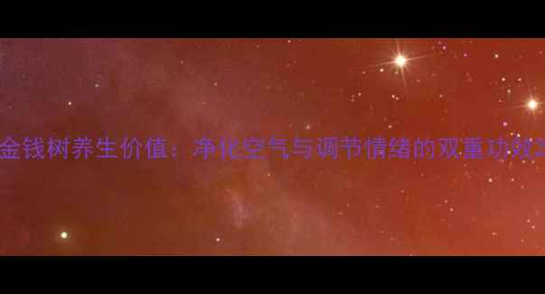 金钱树养生价值净化空气与调节情绪的双重功效