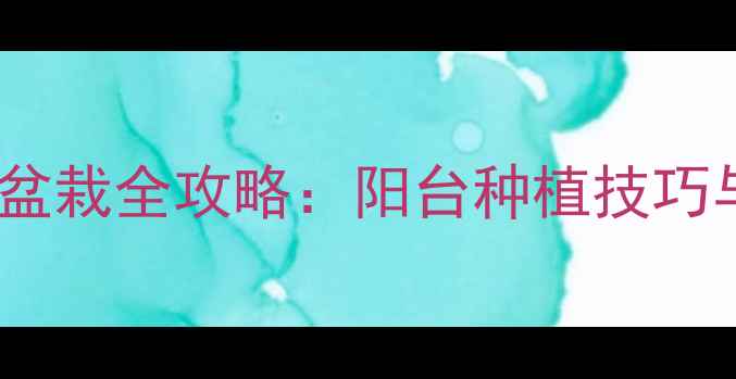 金钱草家庭盆栽全攻略阳台种植技巧与养生功效