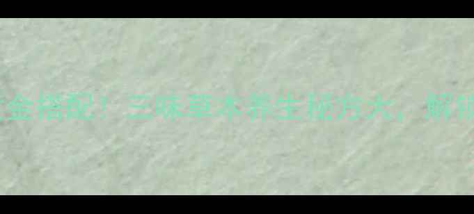 金银花菊花桑叶黄金搭配三味草本养生秘方大解锁天然抗炎抗衰疗法