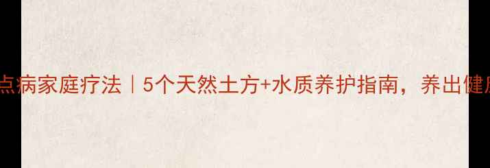 金鱼白点病家庭疗法5个天然土方水质养护指南养出健康鱼群