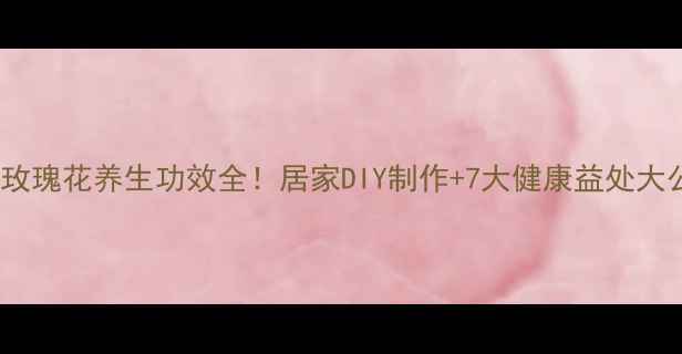 图片 铁丝玫瑰花养生功效全！居家DIY制作+7大健康益处大公开1