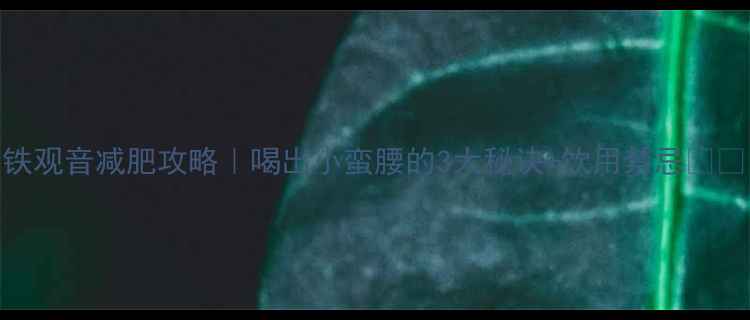 铁观音减肥攻略喝出小蛮腰的3大秘诀饮用禁忌