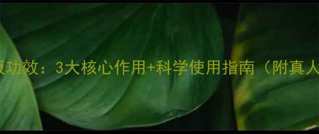 图片 铜刮痧板功效：3大核心作用+科学使用指南（附真人实测）1