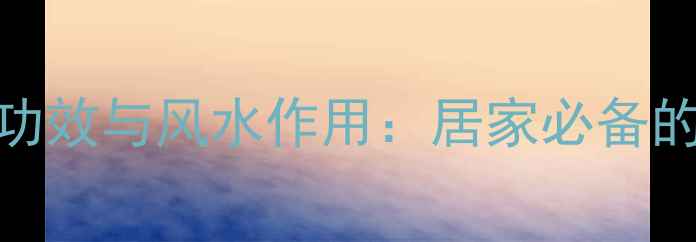 铜钱草的7大养生功效与风水作用居家必备的天然健康守护者