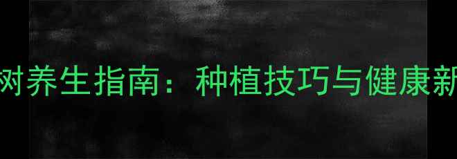 银杏树养生指南种植技巧与健康新高度