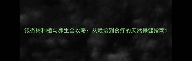 银杏树种植与养生全攻略从栽培到食疗的天然保健指南