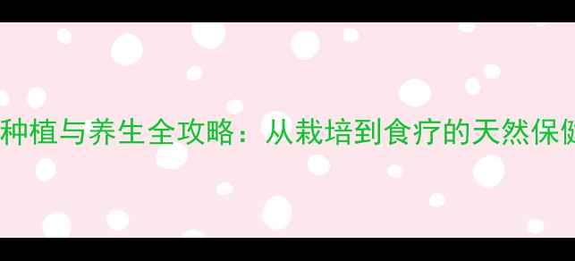 图片 银杏树种植与养生全攻略：从栽培到食疗的天然保健指南2