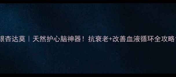 银杏达莫天然护心脑神器抗衰老改善血液循环全攻略