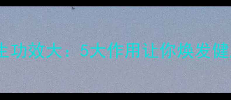 图片 银耳的养生功效大：5大作用让你焕发健康活力！1