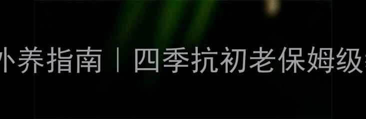 防晒霜正确使用内调外养指南四季抗初老保姆级教程附懒人打卡表