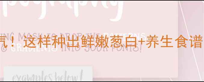 阳台种葱养出健康气这样种出鲜嫩葱白养生食谱附全流程图解