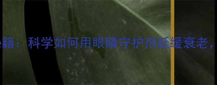 阿托品护眼秘籍科学如何用眼睛守护剂延缓衰老预防干眼症