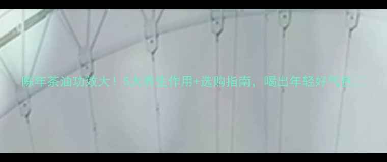 图片 陈年茶油功效大！5大养生作用+选购指南，喝出年轻好气色🌿