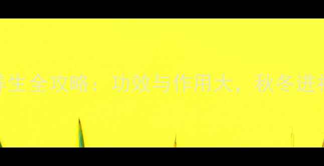 雪莲根养生全攻略功效与作用大秋冬进补必看