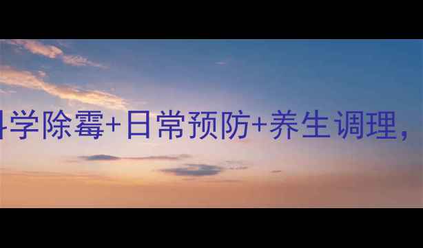 霉菌治理全攻略科学除霉日常预防养生调理打造健康无霉环境