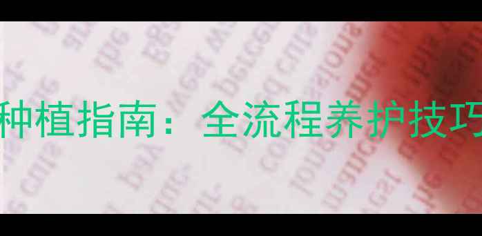 图片 露薇花养生功效与家庭种植指南：全流程养护技巧及食疗应用（附图解）