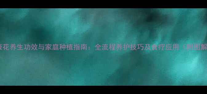 露薇花养生功效与家庭种植指南全流程养护技巧及食疗应用附图解