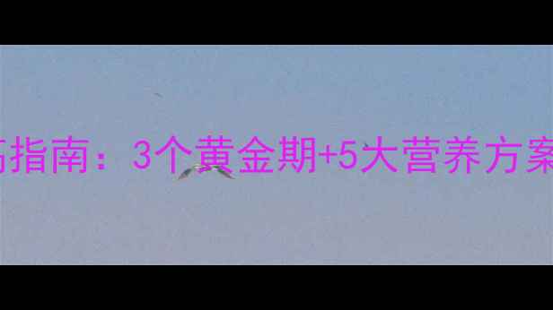 图片 青少年必看！科学增高指南：3个黄金期+5大营养方案，轻松突破180cm大关