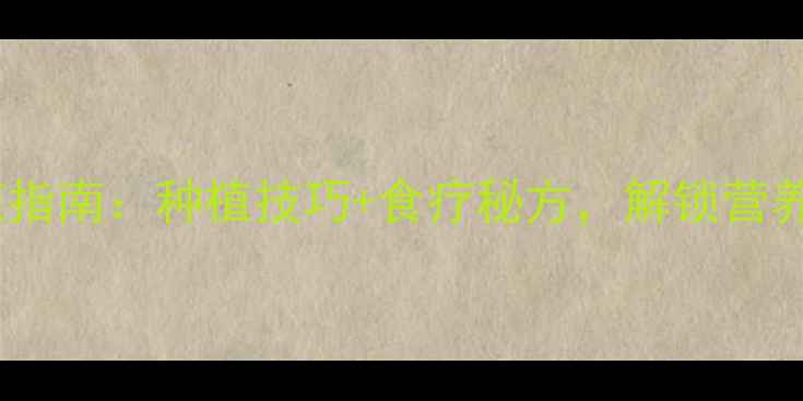 韭菜养生功效与种植指南种植技巧食疗秘方解锁营养与健康的双重密码