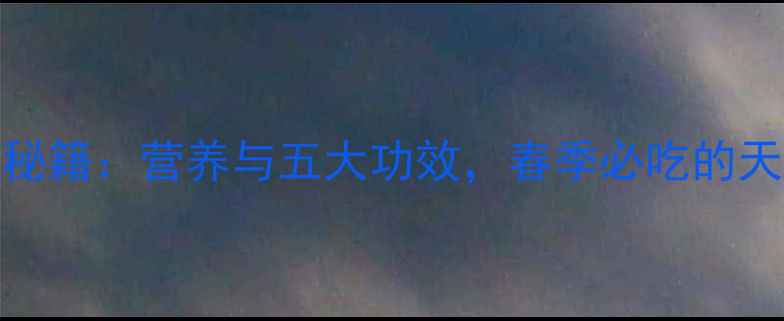 香椿叶的养生秘籍营养与五大功效春季必吃的天然健康食材