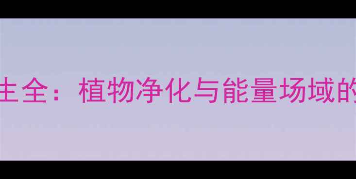 香樟树风水养生全植物净化与能量场域的黄金搭配指南