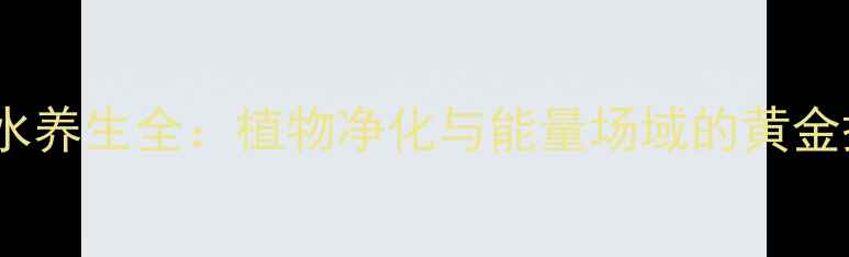 图片 香樟树风水养生全：植物净化与能量场域的黄金搭配指南1