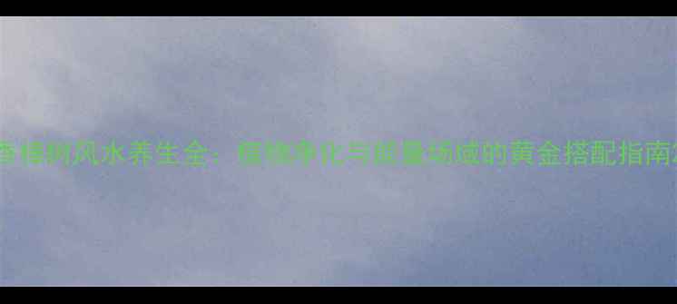 图片 香樟树风水养生全：植物净化与能量场域的黄金搭配指南2