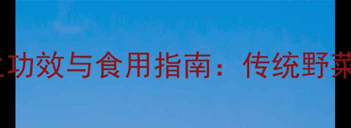 图片 马齿苋的5大养生功效与食用指南：传统野菜的现代健康密码