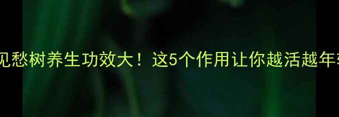 图片 鬼见愁树养生功效大！这5个作用让你越活越年轻1