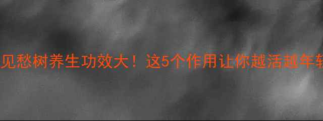 鬼见愁树养生功效大这5个作用让你越活越年轻