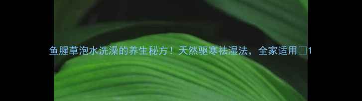 图片 鱼腥草泡水洗澡的养生秘方！天然驱寒祛湿法，全家适用🌿1